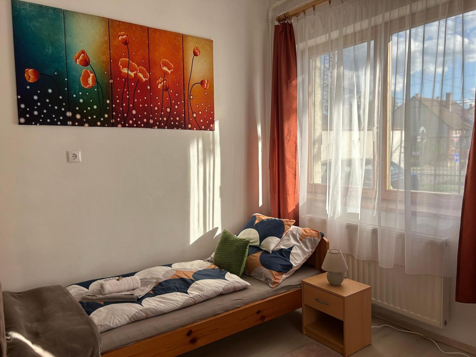 Ferienwohnung Tavaszpart Vendeghaz Szegedin Exterior foto