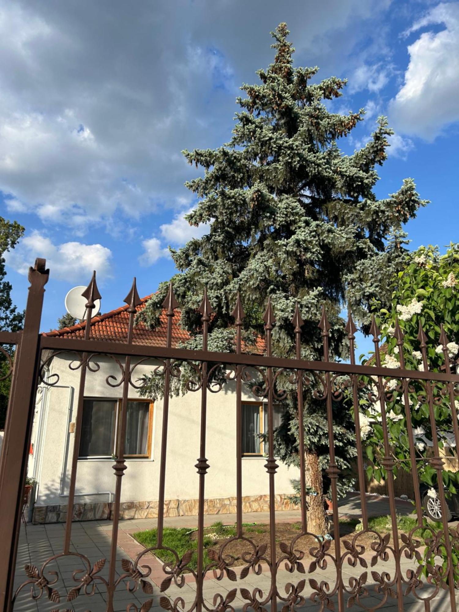 Ferienwohnung Tavaszpart Vendeghaz Szegedin Exterior foto