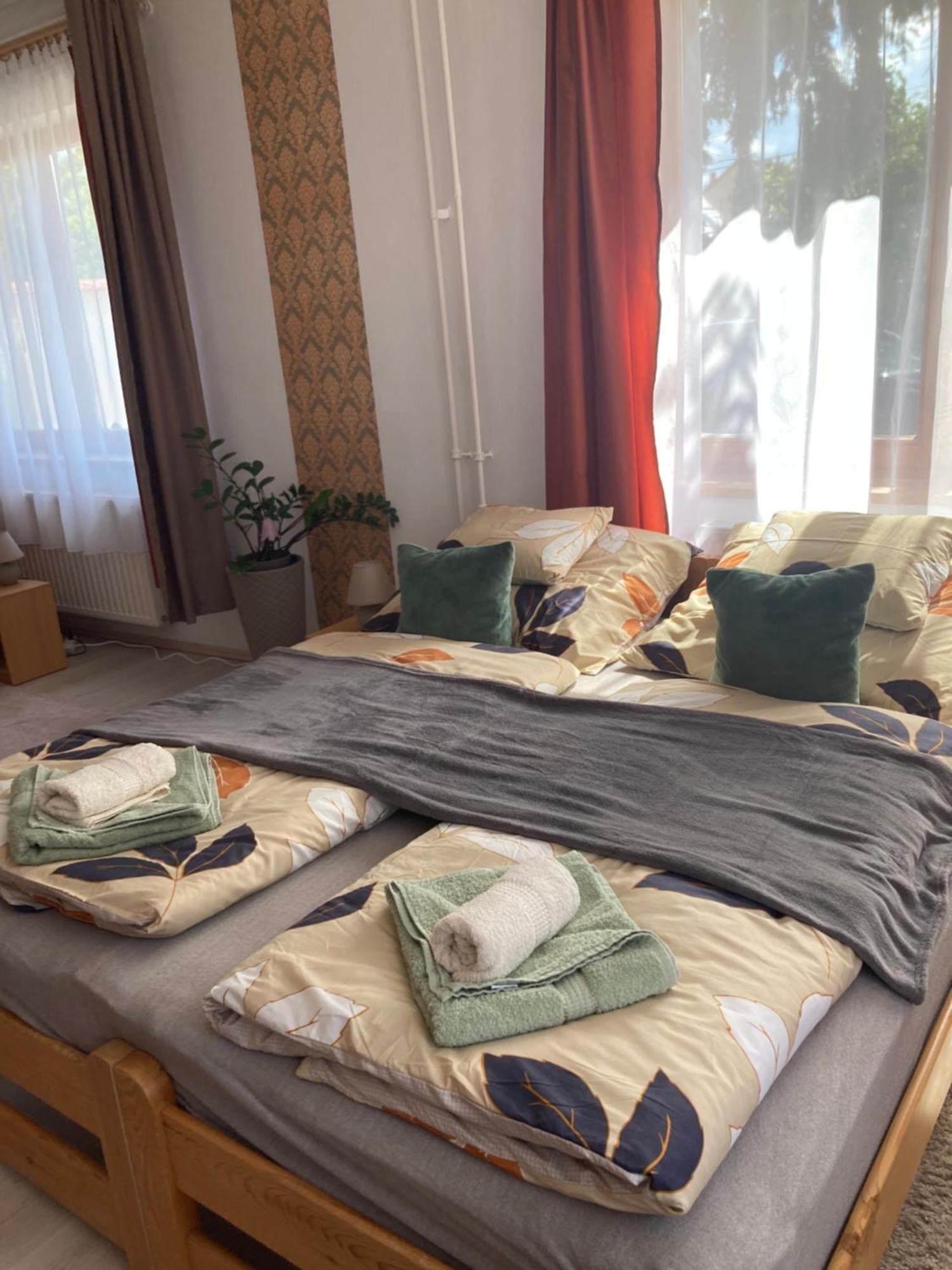 Ferienwohnung Tavaszpart Vendeghaz Szegedin Exterior foto